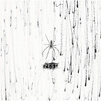 コドモドラゴン「 ＰＥＳＴ」