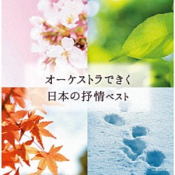 （Ｖ．Ａ．） 南安雄 日本フィルハーモニー交響楽団「オーケストラできく日本の抒情　ベスト」