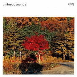 ｕｍｉｎｅｃｏｓｏｕｎｄｓ「味噌」