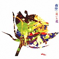 坂本サトル「 夜空に咲いた花」