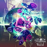 Ｒｏｓｅｌｉａ「 Ｗａｈｌ」