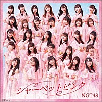 ＮＧＴ４８「 シャーベットピンク」