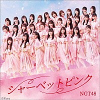 ＮＧＴ４８「 シャーベットピンク」