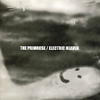 ＴＨＥ　ＰＲＩＭＲＯＳＥ「 ＥＬＥＣＴＲＩＣ　ＨＥＡＶＥＮ」