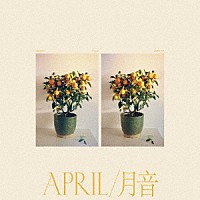 ＥＭＭＹ　ＴＨＥ　ＧＲＥＡＴ「 ＡＰＲＩＬ　／　月音」