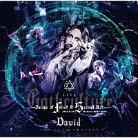 Ｄａｖｉｄ「 ＬＩＶＥ　“Ｇｏｔｈｃｕｌｔｕｒｅ”　－Ｉｍａｇｅ　ｏｆ　Ｆｉｒｓｔ　＆　Ｓｅｃｏｎｄ　Ａｃｔ－」