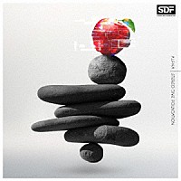 ＳＴＥＲＥＯ　ＤＩＶＥ　ＦＯＵＮＤＡＴＩＯＮ「 ＡＬＰＨＡ」