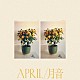 ＥＭＭＹ　ＴＨＥ　ＧＲＥＡＴ「ＡＰＲＩＬ　／　月音」