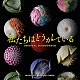 出羽良彰「日本テレビ系水曜ドラマ　私たちはどうかしている　オリジナル・サウンドトラック」