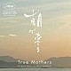 Ａｋｉｒａ　Ｋｏｓｅｍｕｒａ「Ｔｒｕｅ　Ｍｏｔｈｅｒｓ」