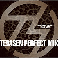 ＴＥＢＡＳＡＫＩ　ＳＥＮＳＡＴＩＯＮ「 ＴＥＢＡＳＥＮ　ＰＥＲＦＥＣＴ　ＭＩＸ－ｔｅｂａｓａｋｉ　ｓｅｎｓａｔｉｏｎ　ＤＪ　ｍｉｘ　Ｖｏｌ．２－　Ｍｉｘｅｄ　ｂｙ　ＤＪ　ＳＺＮＡ」