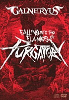 ＧＡＬＮＥＲＹＵＳ「 ＦＡＬＬＩＮＧ　ＩＮＴＯ　ＴＨＥ　ＦＬＡＭＥＳ　ＯＦ　ＰＵＲＧＡＴＯＲＹ」