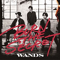 ＷＡＮＤＳ「 ＢＵＲＮ　ＴＨＥ　ＳＥＣＲＥＴ」