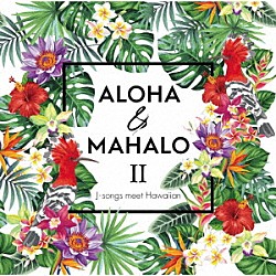 （Ｖ．Ａ．） Ｋａｌａｎｉ　Ｐｅ’ａ Ｋａｍｕｅｌａ　Ｋａｈｏａｎｏ Ｓｔｅｐｈｅｎ　Ｉｎｇｌｉｓ Ｘａｎｄｒａ　Ｌｏａｎｄｏ Ｋｒｉｓ　Ｆｕｃｈｉｇａｍｉ Ｔｏｓｈｉｋｉ　Ｋｏｎｄｏ Ｌｏｈｅ「ＡＬＯＨＡ　＆　ＭＡＨＡＬＯ　Ⅱ　Ｊ－ｓｏｎｇｓ　ｍｅｅｔ　Ｈａｗａｉｉａｎ」