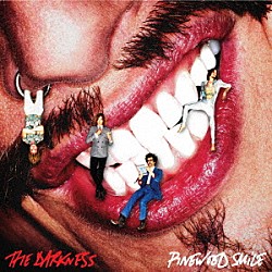 ＴＨＥ　ＤＡＲＫＮＥＳＳ「ＰＩＮＥＷＯＯＤ　ＳＭＩＬＥ」