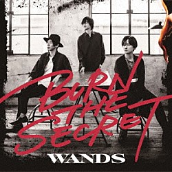 ＷＡＮＤＳ「ＢＵＲＮ　ＴＨＥ　ＳＥＣＲＥＴ」