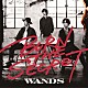 ＷＡＮＤＳ「ＢＵＲＮ　ＴＨＥ　ＳＥＣＲＥＴ」