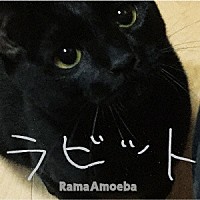 Ｒａｍａ　Ａｍｏｅｂａ「 Ｒａｂｂｉｔ」