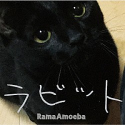 Ｒａｍａ　Ａｍｏｅｂａ「Ｒａｂｂｉｔ」