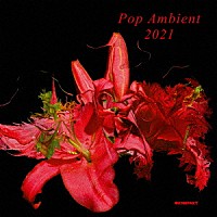 （Ｖ．Ａ．）「 ＰＯＰ　ＡＭＢＩＥＮＴ　２０２１」