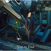 安田レイ「 Ｎｏｔ　ｔｈｅ　Ｅｎｄ」