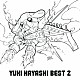 林ゆうき「ＹＵＫＩ　ＨＡＹＡＳＨＩ　ＢＥＳＴ　２」