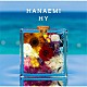 ＨＹ「ＨＡＮＡＥＭＩ」