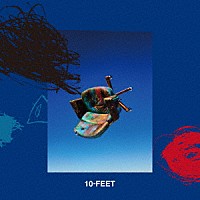 １０－ＦＥＥＴ「 アオ」