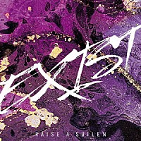 ＲＡＩＳＥ　Ａ　ＳＵＩＬＥＮ「 ＥＸＩＳＴ」