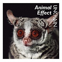 ＵＮＣＨＡＩＮ「 Ａｎｉｍａｌ　Ｅｆｆｅｃｔ」