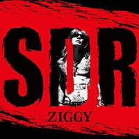 ＺＩＧＧＹ「 ＳＤＲ」