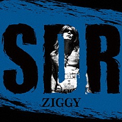 ＺＩＧＧＹ「ＳＤＲ」