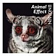 ＵＮＣＨＡＩＮ「Ａｎｉｍａｌ　Ｅｆｆｅｃｔ」