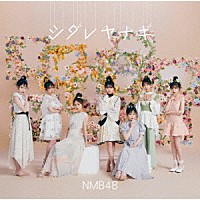 ＮＭＢ４８「 シダレヤナギ」