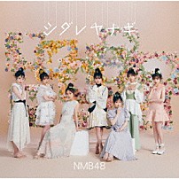 ＮＭＢ４８ 「シダレヤナギ」