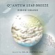 ＨＩＲＯＫＩ　ＯＫＡＮＯ「ＱＵＡＮＴＵＭ　ＬＥＡＰ　ＢＲＥＥＺＥ　ｍｕｓｉｃ　ｆｏｒ　ＨＥＬＩＯ　ＣＯＭＰＡＳＳ　２０２０」