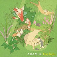 ＡＤＡＭ　ａｔ「 Ｄａｙｌｉｇｈｔ」