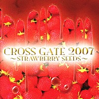 （オムニバス）「 ＣＲＯＳＳ　ＧＡＴＥ　２００７　～ＳＴＲＡＷＢＥＲＲＹ　ＳＥＥＤＳ～」