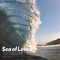 （Ｖ．Ａ．）「 ＨＯＮＥＹ　ｍｅｅｔｓ　ＩＳＬＡＮＤ　ＣＡＦＥ　Ｓｅａ　Ｏｆ　Ｌｏｖｅ　６」