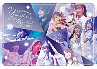 ＝ＬＯＶＥ「 Ｙｏｕ　ａｌｌ　ａｒｅ　“Ｍｙ　ｉｄｅａｌ”～日本武道館～」