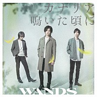 ＷＡＮＤＳ「 カナリア鳴いた頃に」