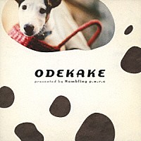 （Ｖ．Ａ．）「 ＯＤＥＫＡＫＥ」