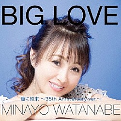 渡辺美奈代「ＢＩＧ　ＬＯＶＥ」