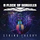 Ａ　ＦＬＯＣＫ　ＯＦ　ＳＥＡＧＵＬＬＳ「ＳＴＲＩＮＧ　ＴＨＥＯＲＹ」