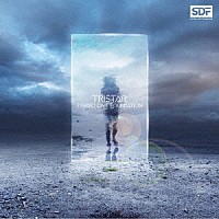 ＳＴＥＲＥＯ　ＤＩＶＥ　ＦＯＵＮＤＡＴＩＯＮ「 ＴＲＩＳＴＡＲ」