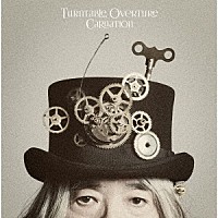 カーネーション「 Ｔｕｒｎｔａｂｌｅ　Ｏｖｅｒｔｕｒｅ」