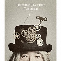 カーネーション「 Ｔｕｒｎｔａｂｌｅ　Ｏｖｅｒｔｕｒｅ」