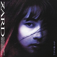 ＺＡＲＤ「 もう探さない　３０ｔｈ　Ａｎｎｉｖｅｒｓａｒｙ　Ｒｅｍａｓｔｅｒｄ」