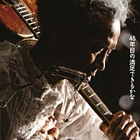 遠藤賢司「 感動実況録音盤　４５年目の満足できるかな　デラックス・エディション」