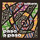 ＤＩＡＭＡＮＴＥＳ「ｐａｓｏ　ａ　ｐａｓｏ」